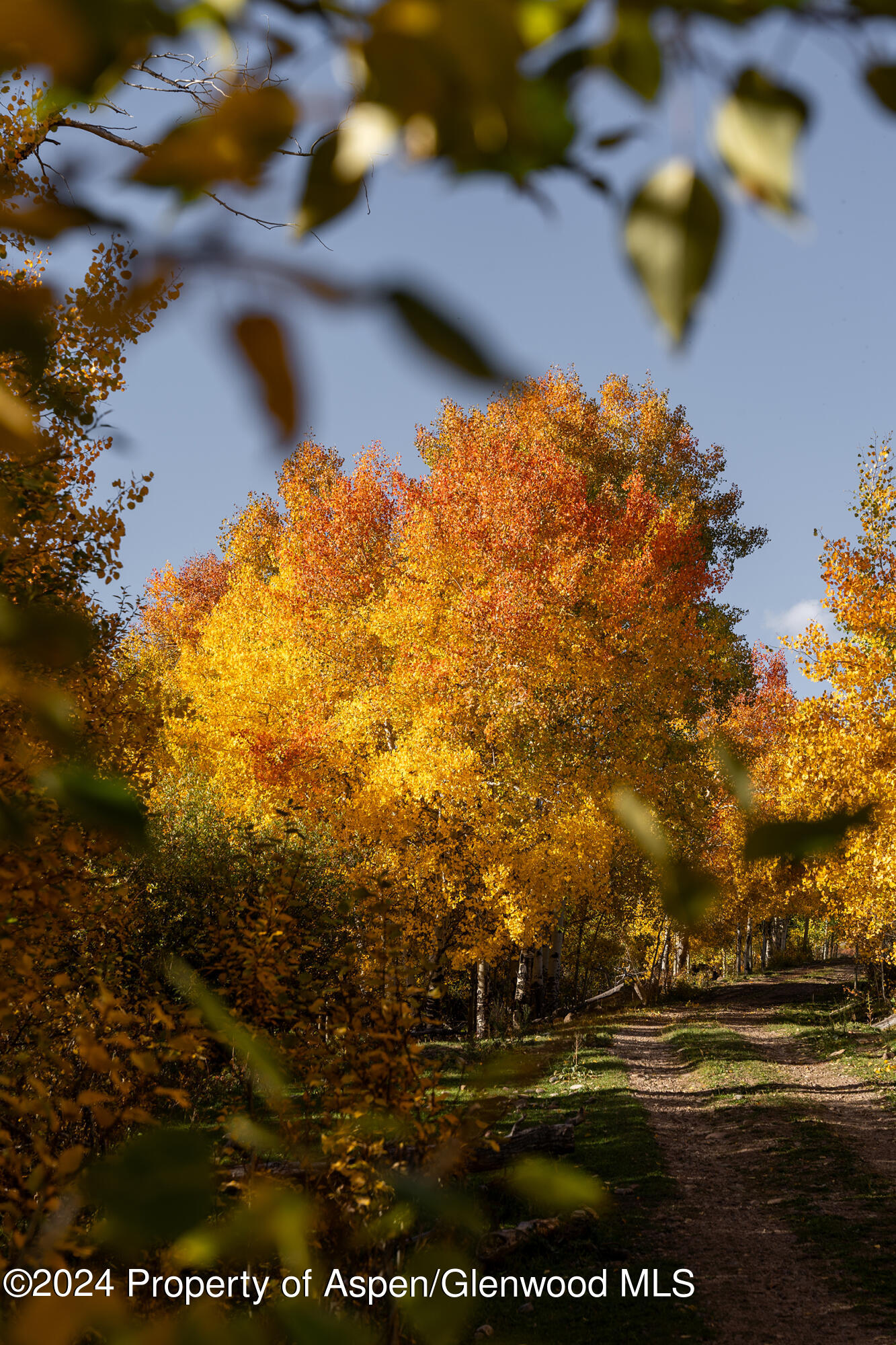 1012 Monastery Road Snowmass, CO 81654 - Photo 61 of 96 St-Benedicts-Monastery-Colorado-Ranches-