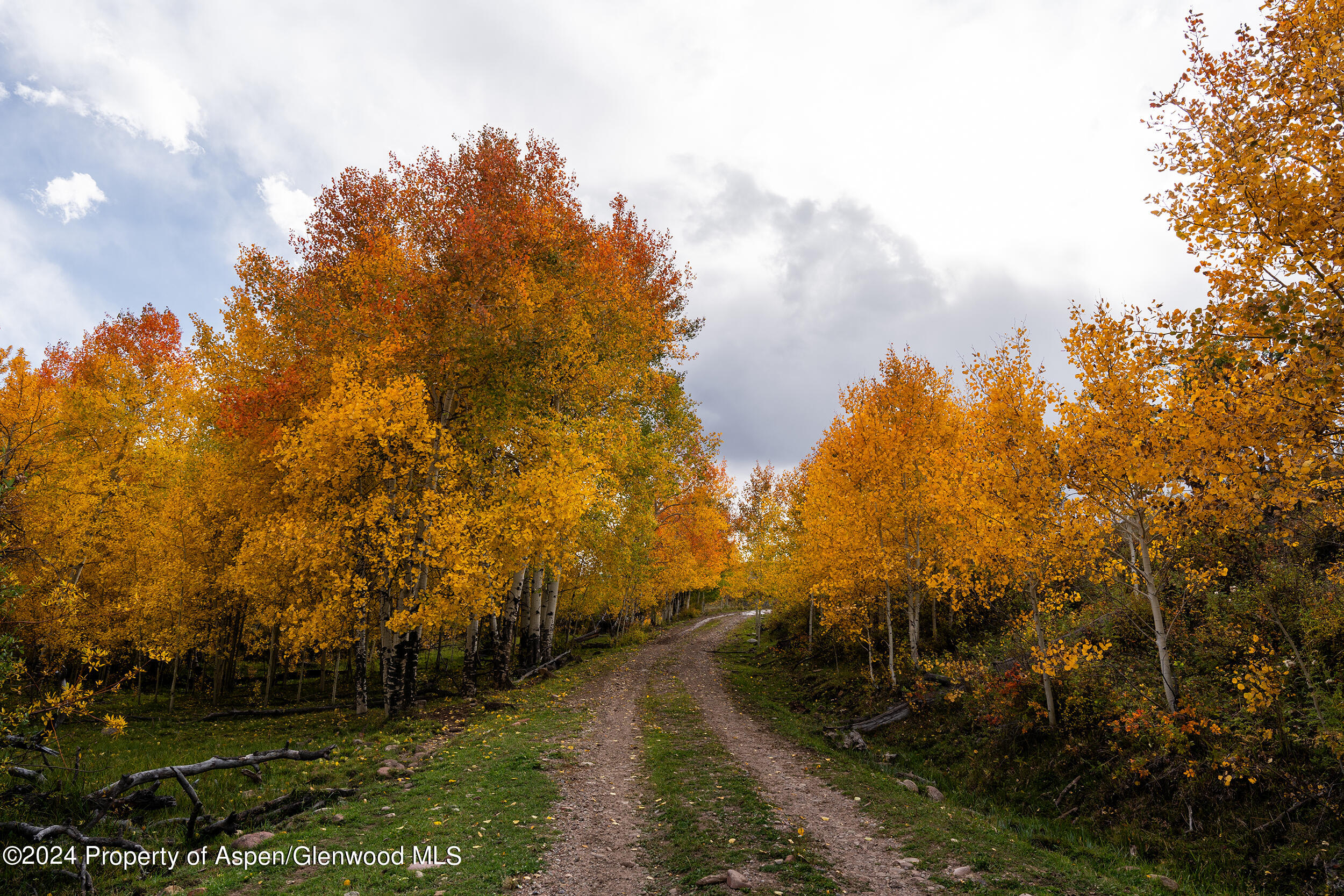 1012 Monastery Road Snowmass, CO 81654 - Photo 62 of 96 St-Benedicts-Monastery-Colorado-Ranches-