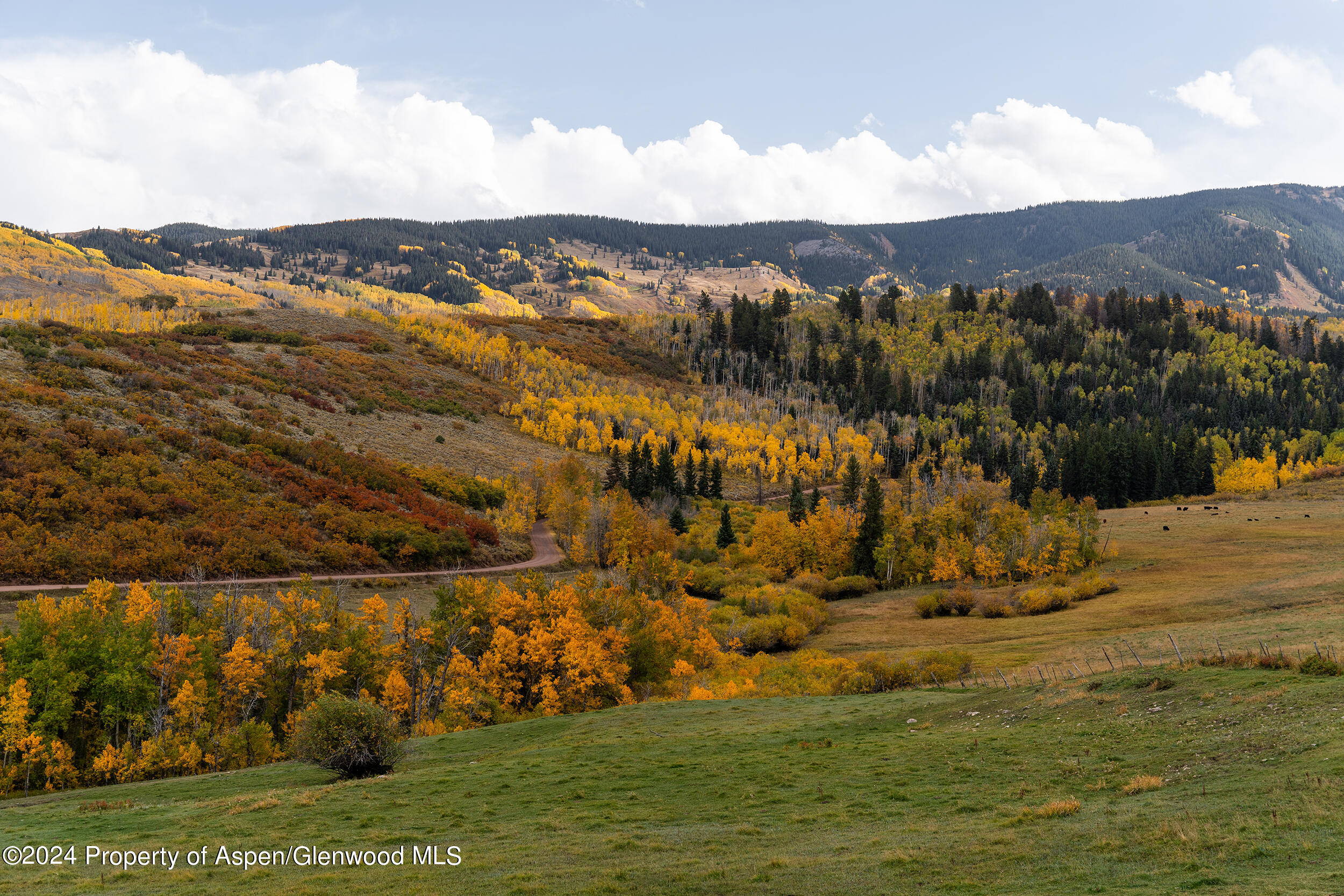 1012 Monastery Road Snowmass, CO 81654 - Photo 68 of 96 a view of a city