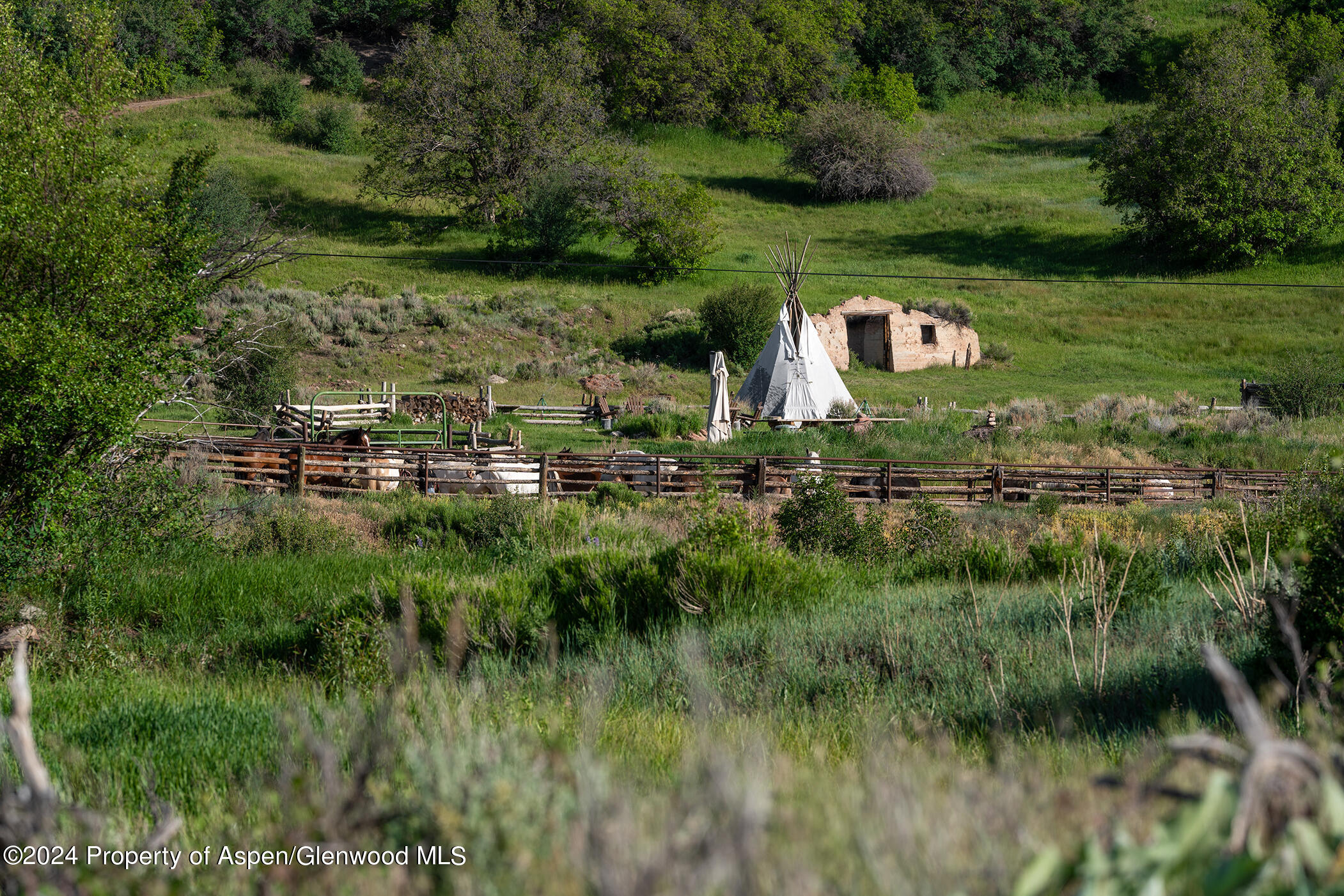 1012 Monastery Road Snowmass, CO 81654 - Photo 71 of 96 St-Benedicts-Monastery-Colorado-Ranches-