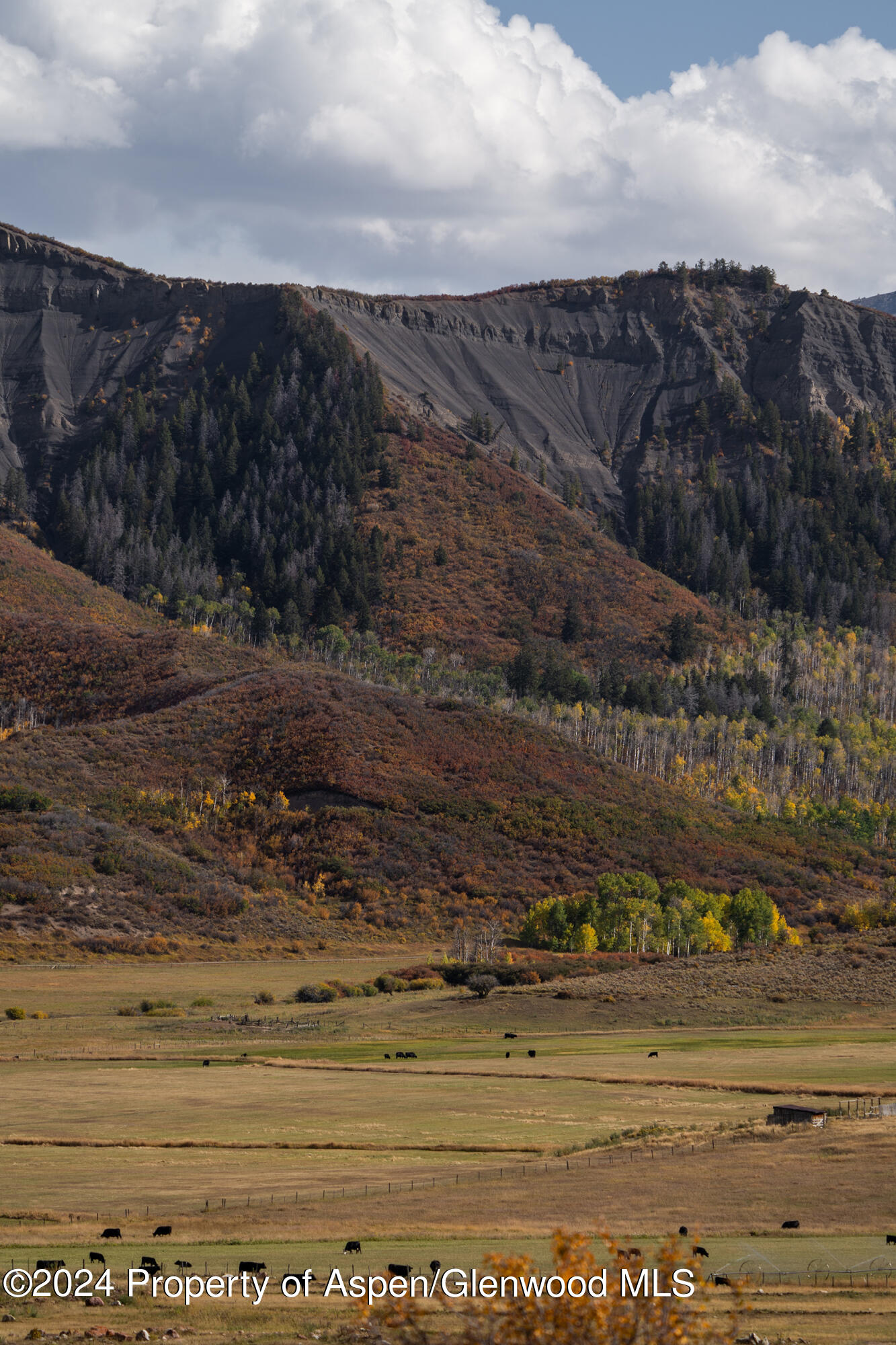 1012 Monastery Road Snowmass, CO 81654 - Photo 72 of 96 St-Benedicts-Monastery-Colorado-Ranches-