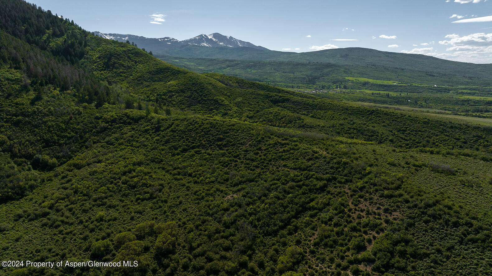 1012 Monastery Road Snowmass, CO 81654 - Photo 81 of 96 a view of a lush green hillside and a building