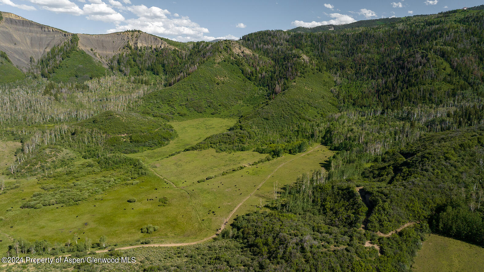 1012 Monastery Road Snowmass, CO 81654 - Photo 82 of 96 St-Benedicts-Monastery-Colorado-Ranches-