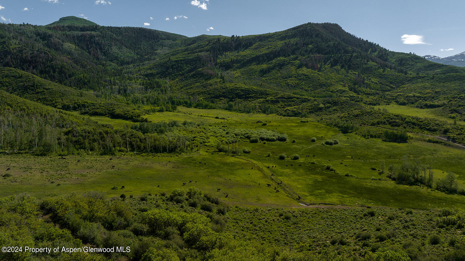 1012 Monastery Road Snowmass, CO 81654 - Photo 88 of 96 a view of a lush green hillside and a building