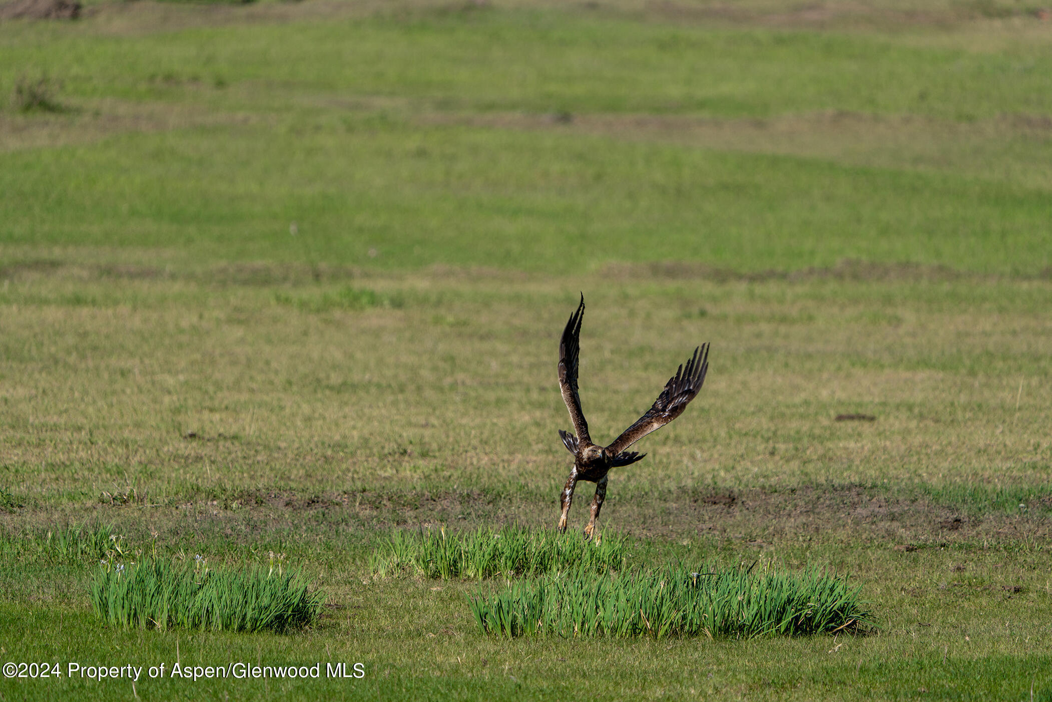 1012 Monastery Road Snowmass, CO 81654 - Photo 95 of 96 St-Benedicts-Monastery-Colorado-Ranches-
