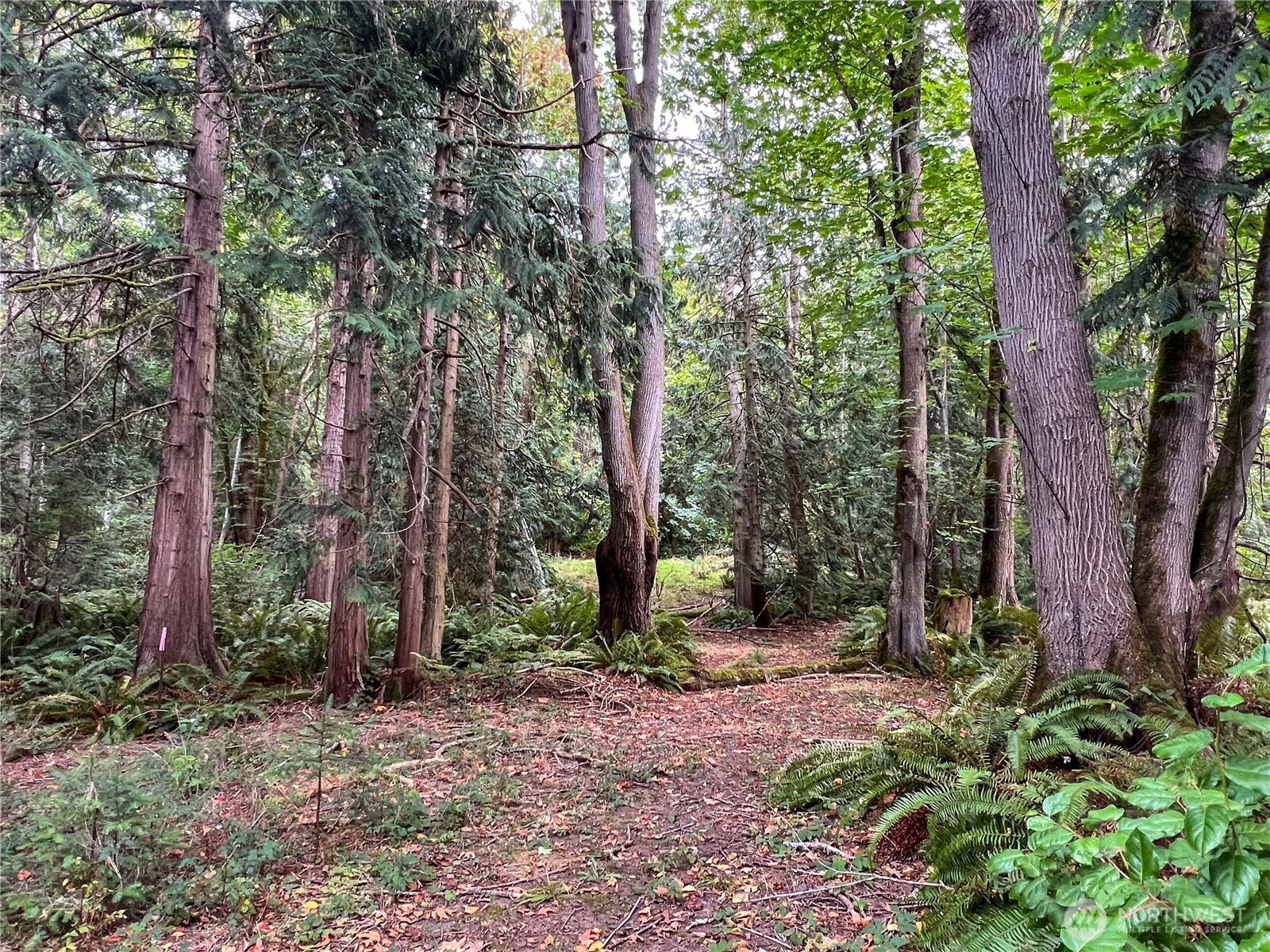 500 Griffith Point Road Nordland, WA 98358 - Photo 12 of 32