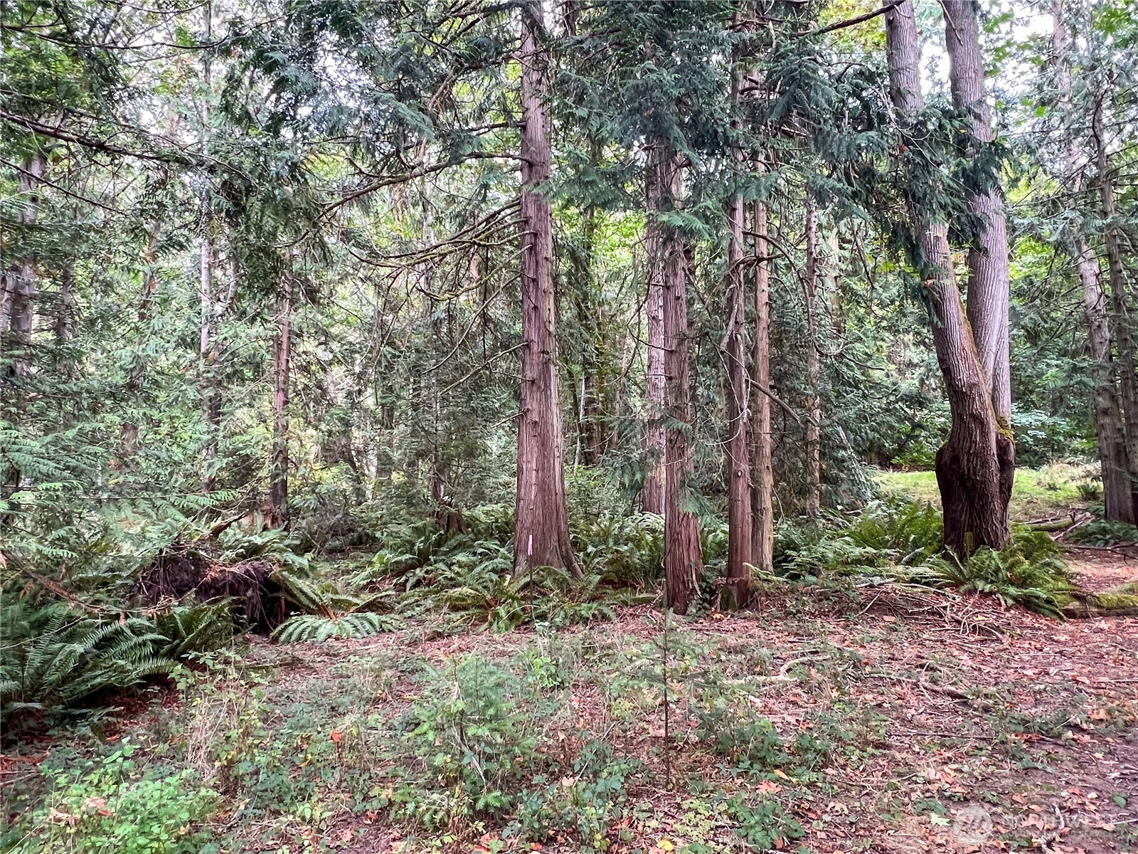 500 Griffith Point Road Nordland, WA 98358 - Photo 13 of 32