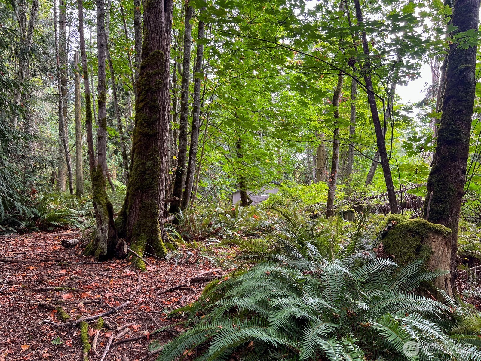 500 Griffith Point Road Nordland, WA 98358 - Photo 14 of 32