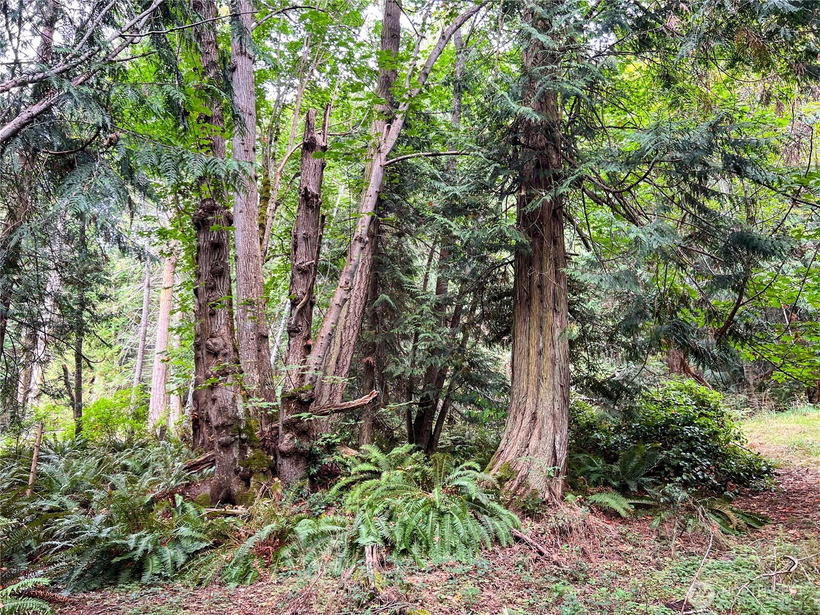 500 Griffith Point Road Nordland, WA 98358 - Photo 15 of 32