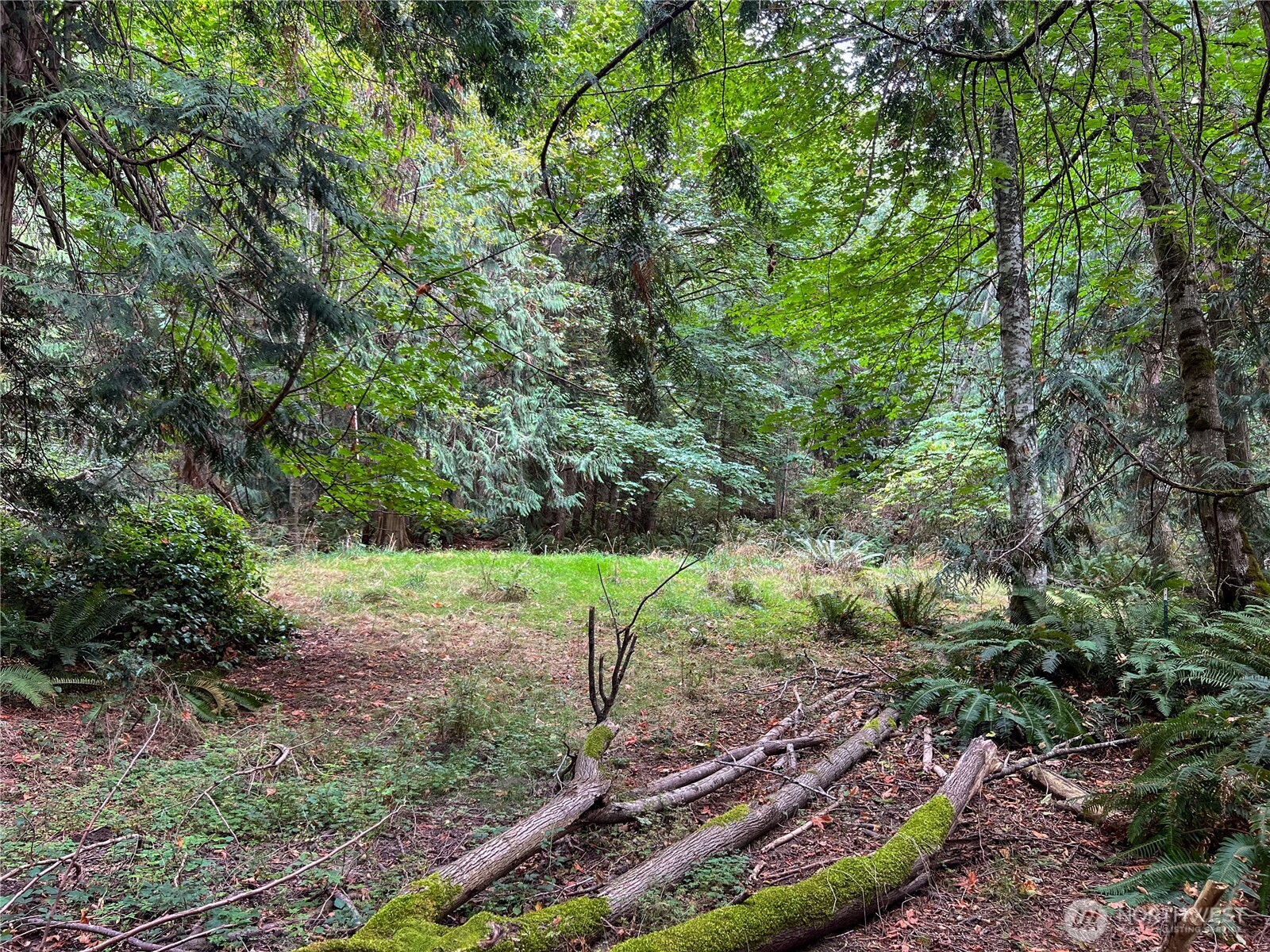 500 Griffith Point Road Nordland, WA 98358 - Photo 16 of 32
