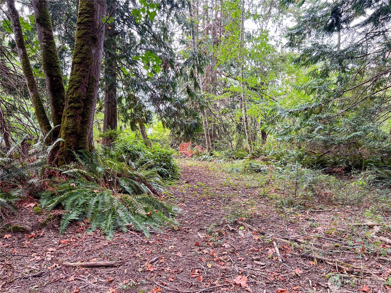 500 Griffith Point Road Nordland, WA 98358 - Photo 17 of 32