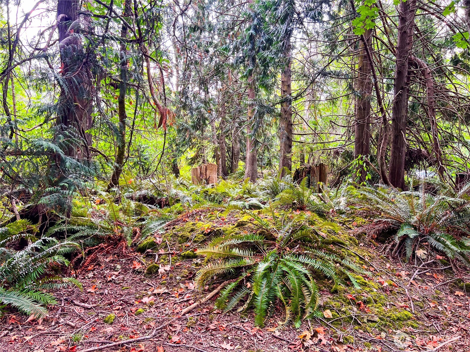 500 Griffith Point Road Nordland, WA 98358 - Photo 18 of 32