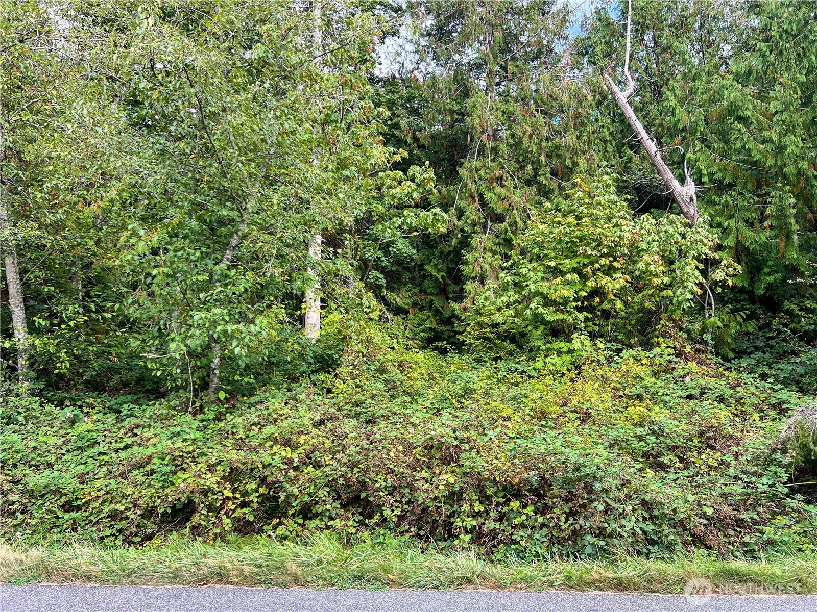 500 Griffith Point Road Nordland, WA 98358 - Photo 4 of 32