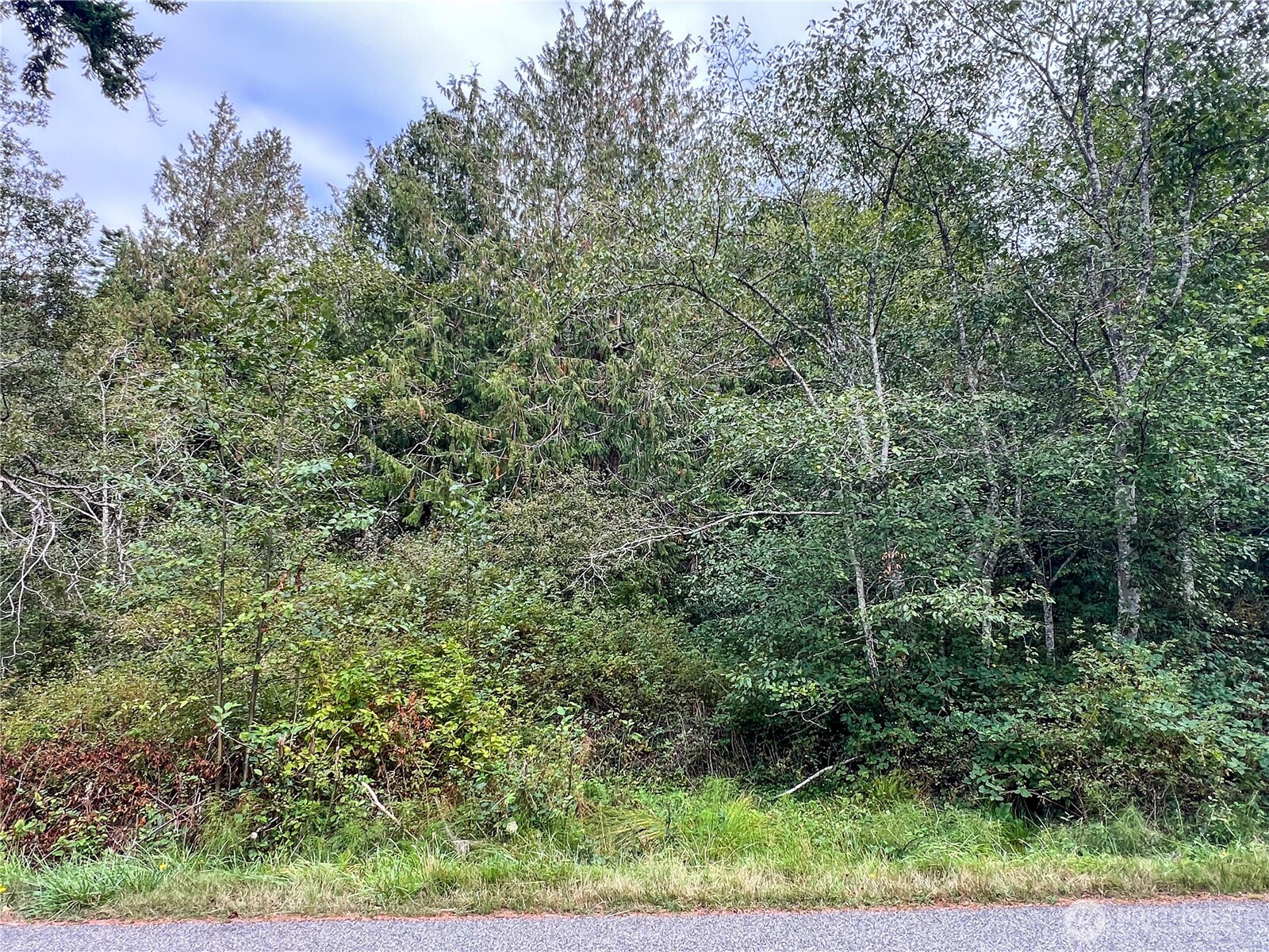 500 Griffith Point Road Nordland, WA 98358 - Photo 6 of 32
