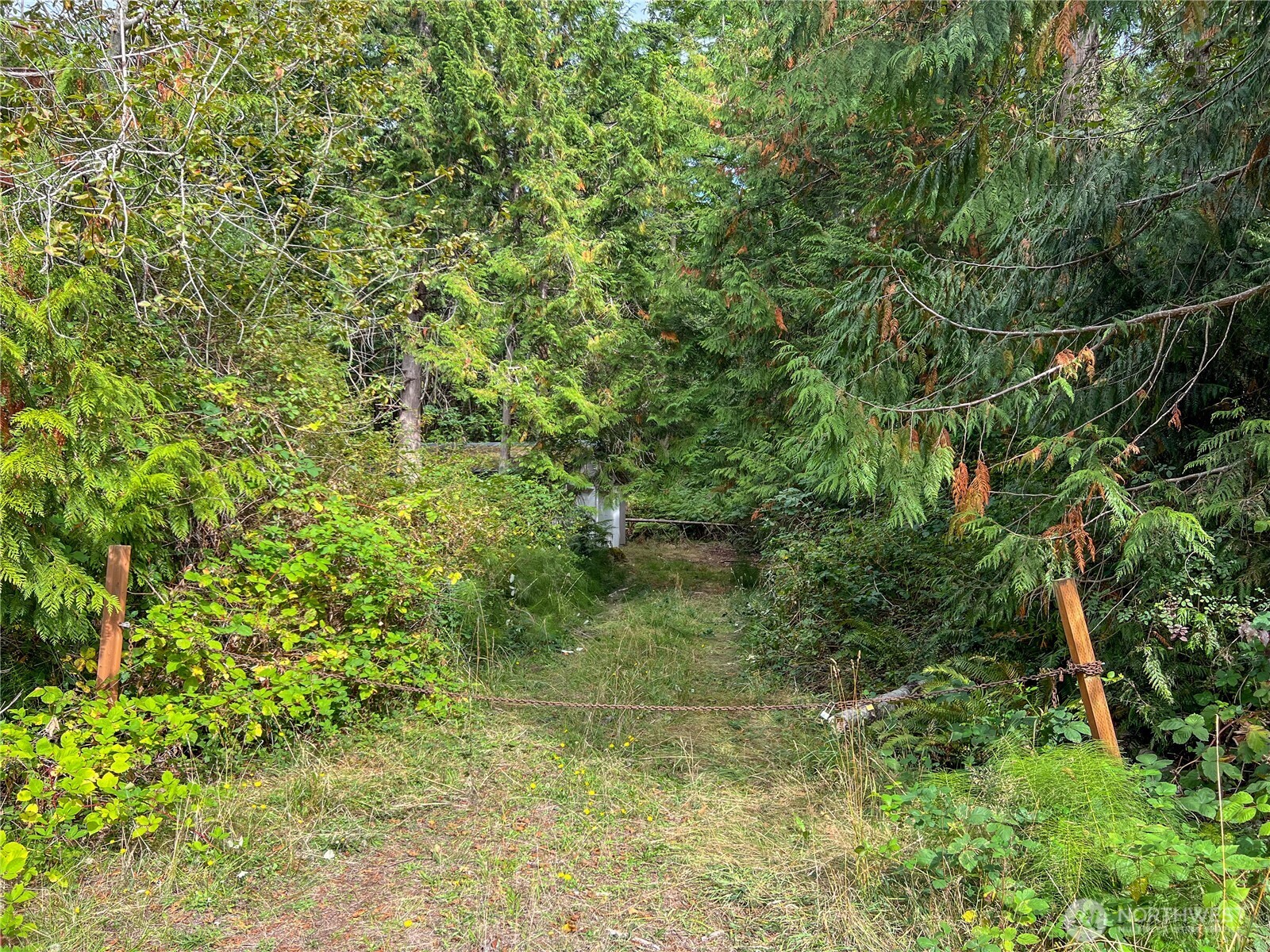 500 Griffith Point Road Nordland, WA 98358 - Photo 10 of 32