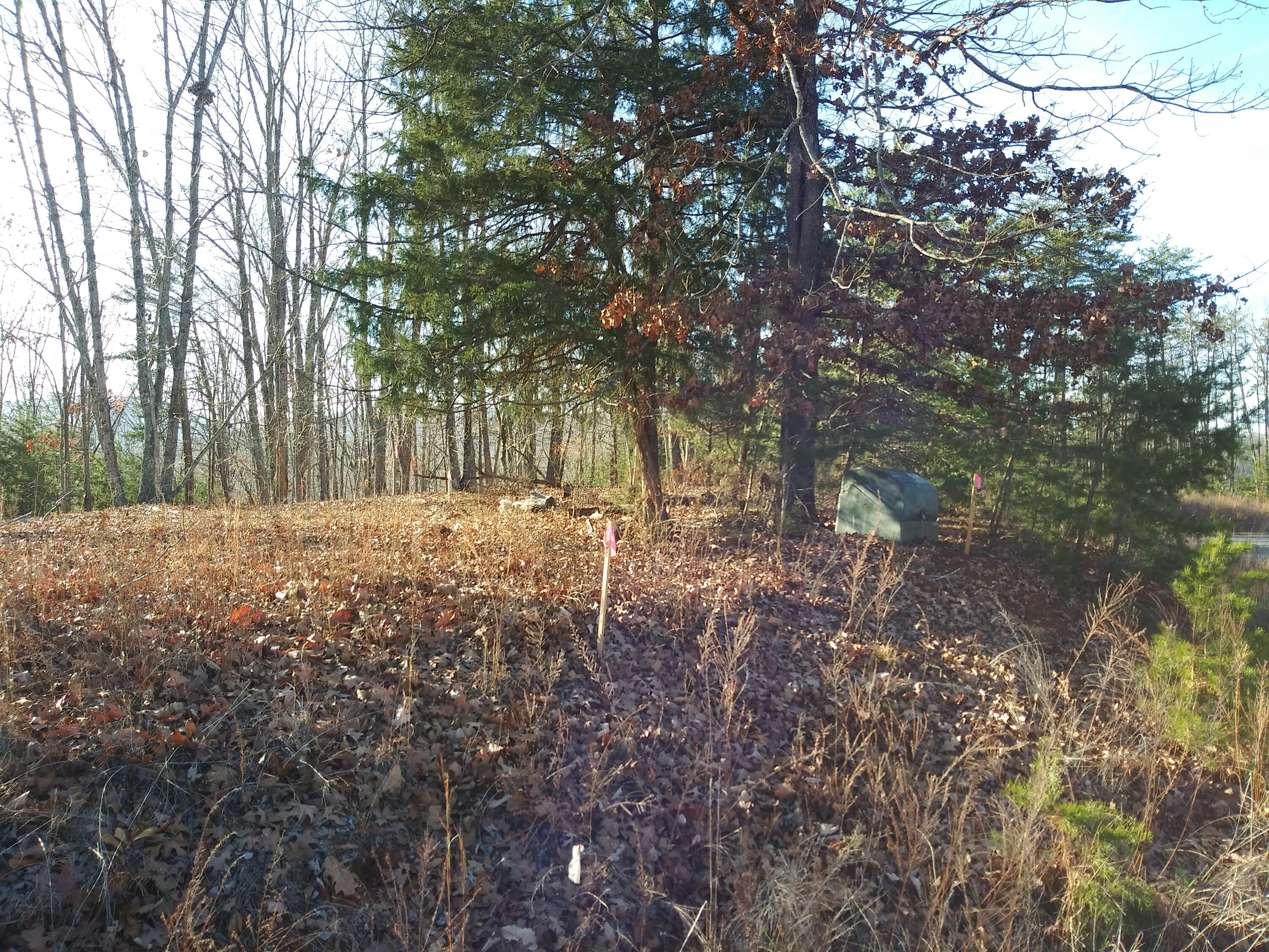 Lot 7 Robin Ridge Court Pittsville, VA 24139 - Photo 15 of 17 a view of yard covered with trees