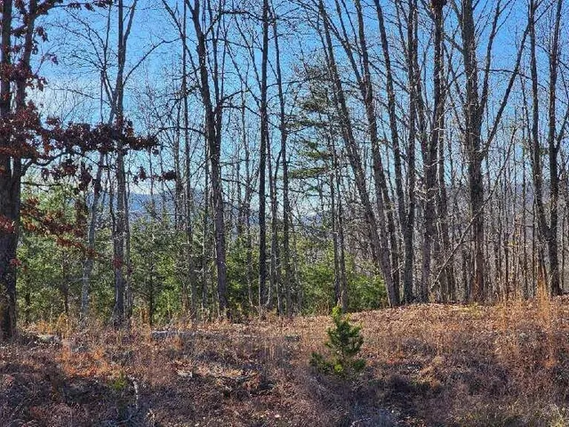 a view of outdoor space with lots of trees