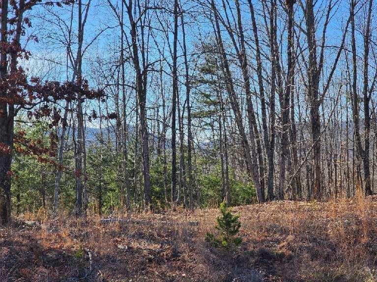 Lot 7 Robin Ridge Court Pittsville, VA 24139 - Photo 2 of 17 a backyard of a house with lots of green space