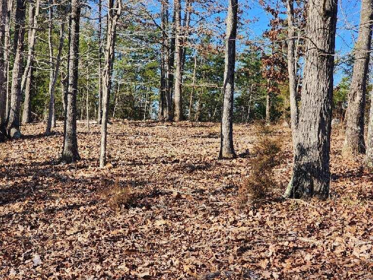 Lot 7 Robin Ridge Court Pittsville, VA 24139 - Photo 8 of 17 a view of a forest filled with trees