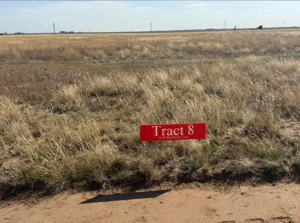 $59,500 | 11220 Blackberry Lane, Dalhart, TX 79022