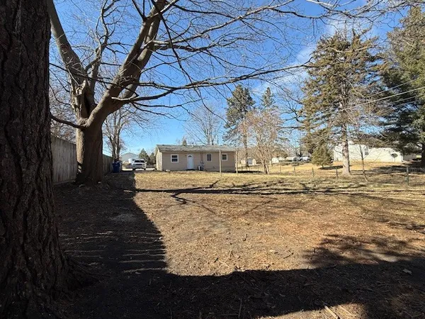 a view of a yard with trees