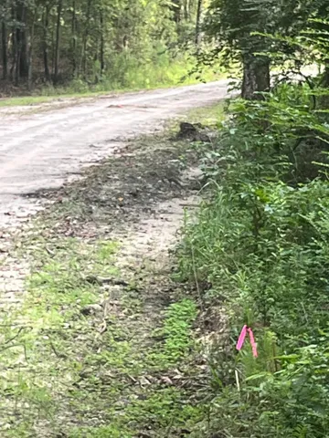 $20,000 | 0 Snake Branch Drive, Round O, SC 29474