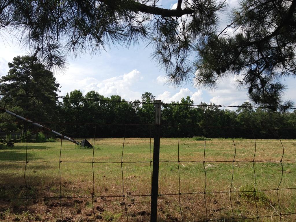 0 Radio Road St. George, SC 29477 - Photo 2 of 2 IMG_0200