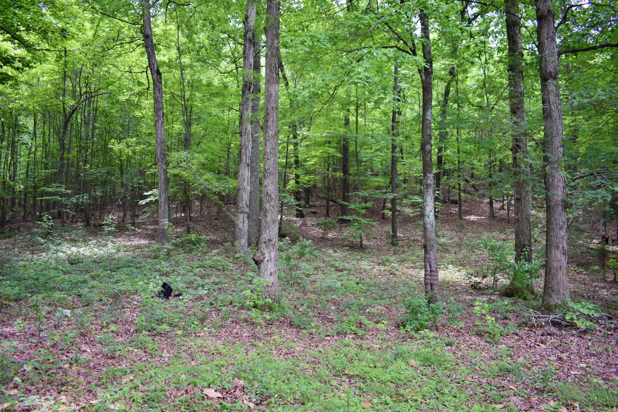 25682 Rhea County Highway Spring City, TN 37381 - Photo 21 of 26