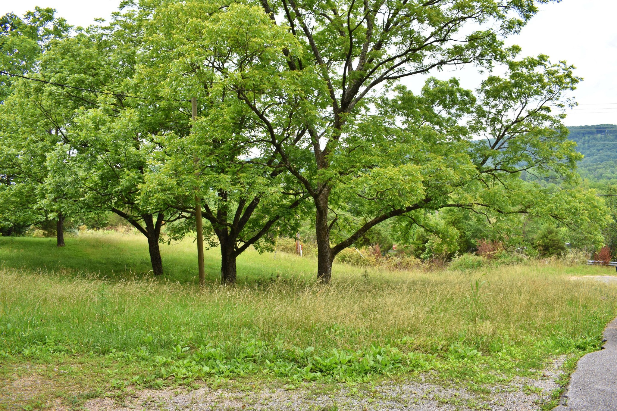 25682 Rhea County Highway Spring City, TN 37381 - Photo 22 of 26