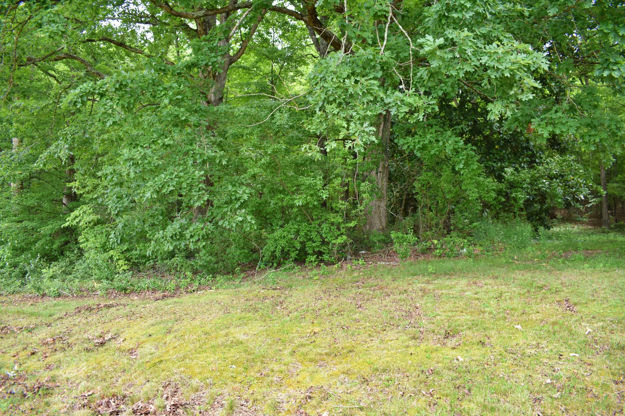 25682 Rhea County Highway Spring City, TN 37381 - Photo 23 of 26