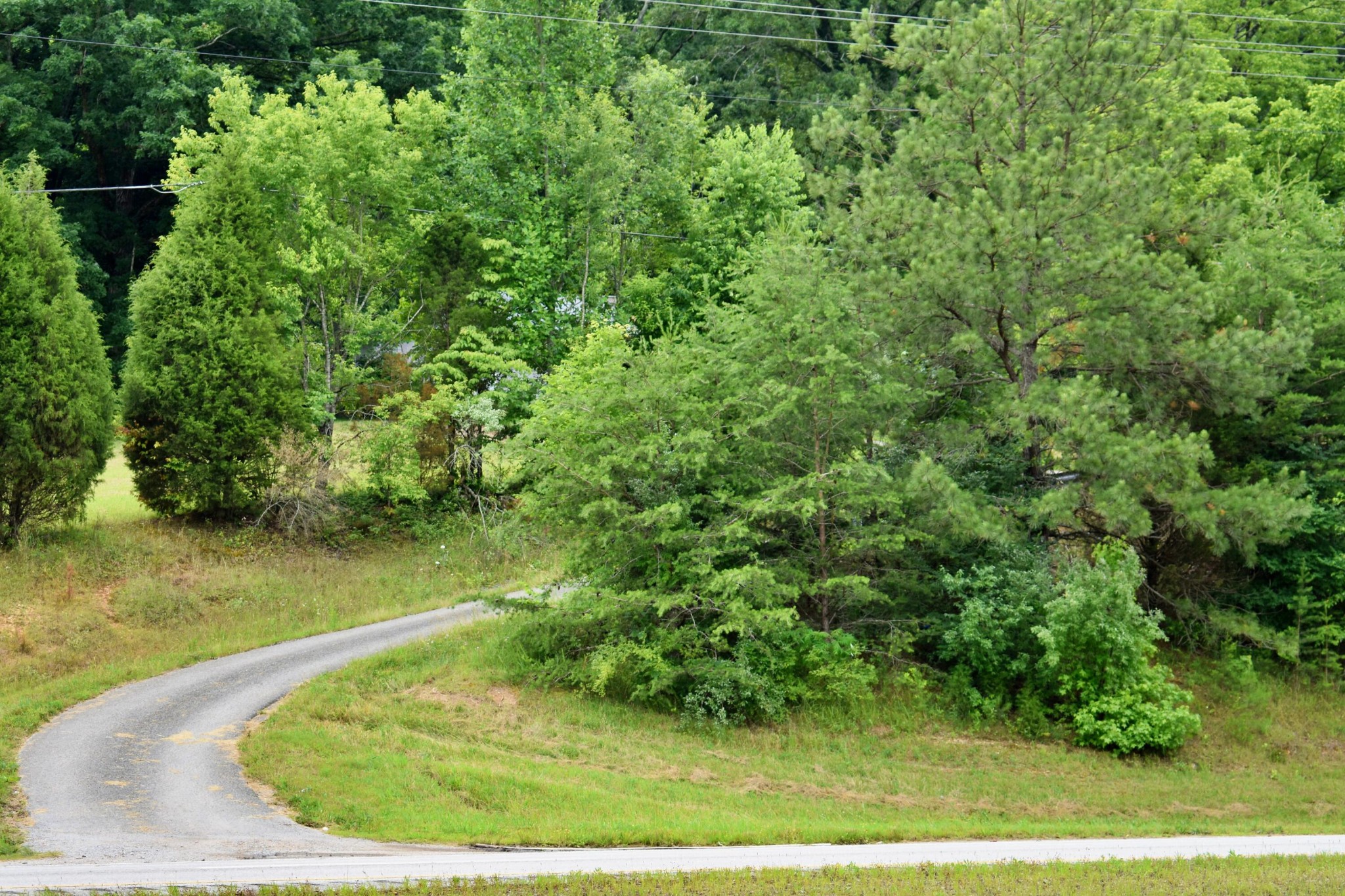 25682 Rhea County Highway Spring City, TN 37381 - Photo 24 of 26