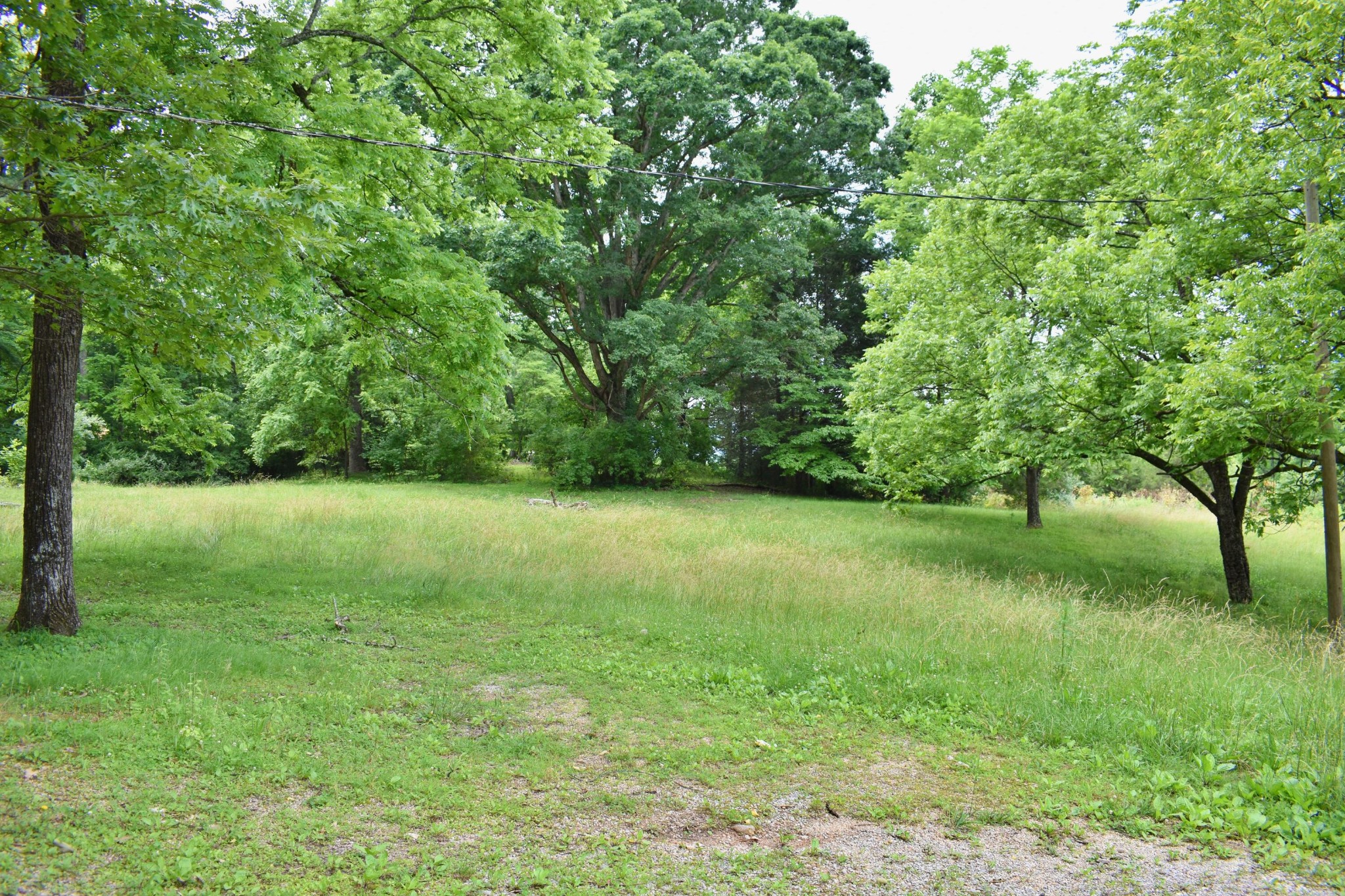 25682 Rhea County Highway Spring City, TN 37381 - Photo 5 of 26