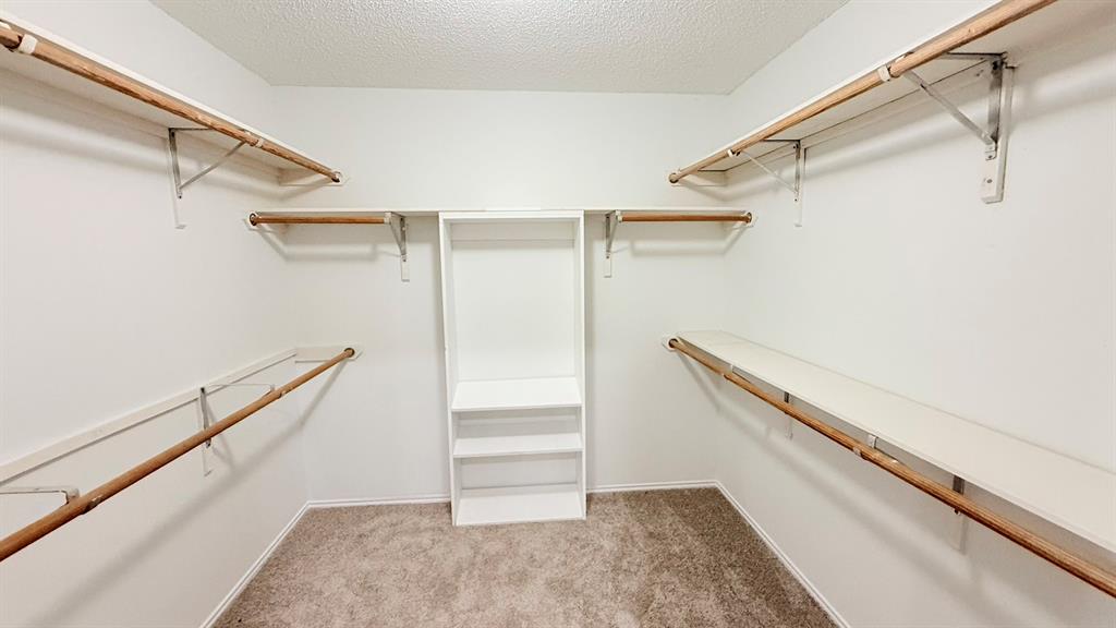 12259 Rim Rock Road Dallas, TX 75253 - Photo 10 of 17 Walk in closet with light carpet