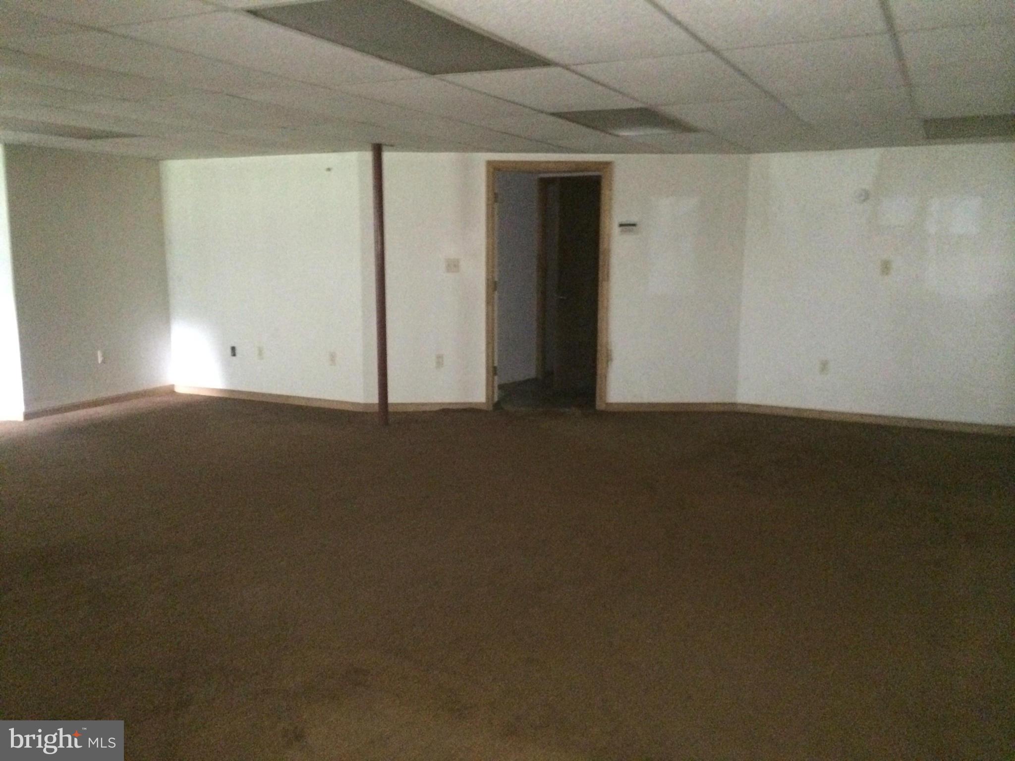 1120 Priestford Road Street, MD 21154 - Photo 28 of 29 Basement