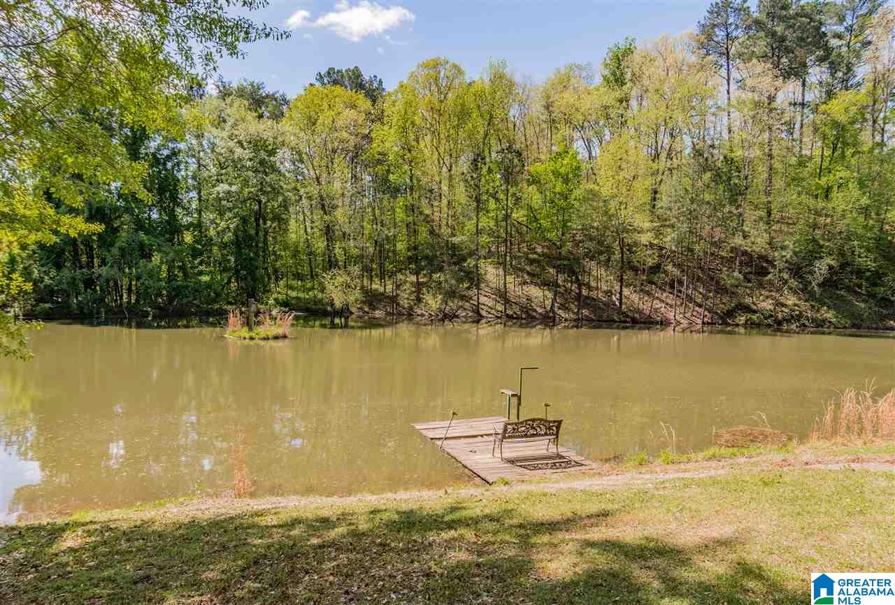 401 Ricetown Road Hayden, AL 35079 - Photo 4 of 50