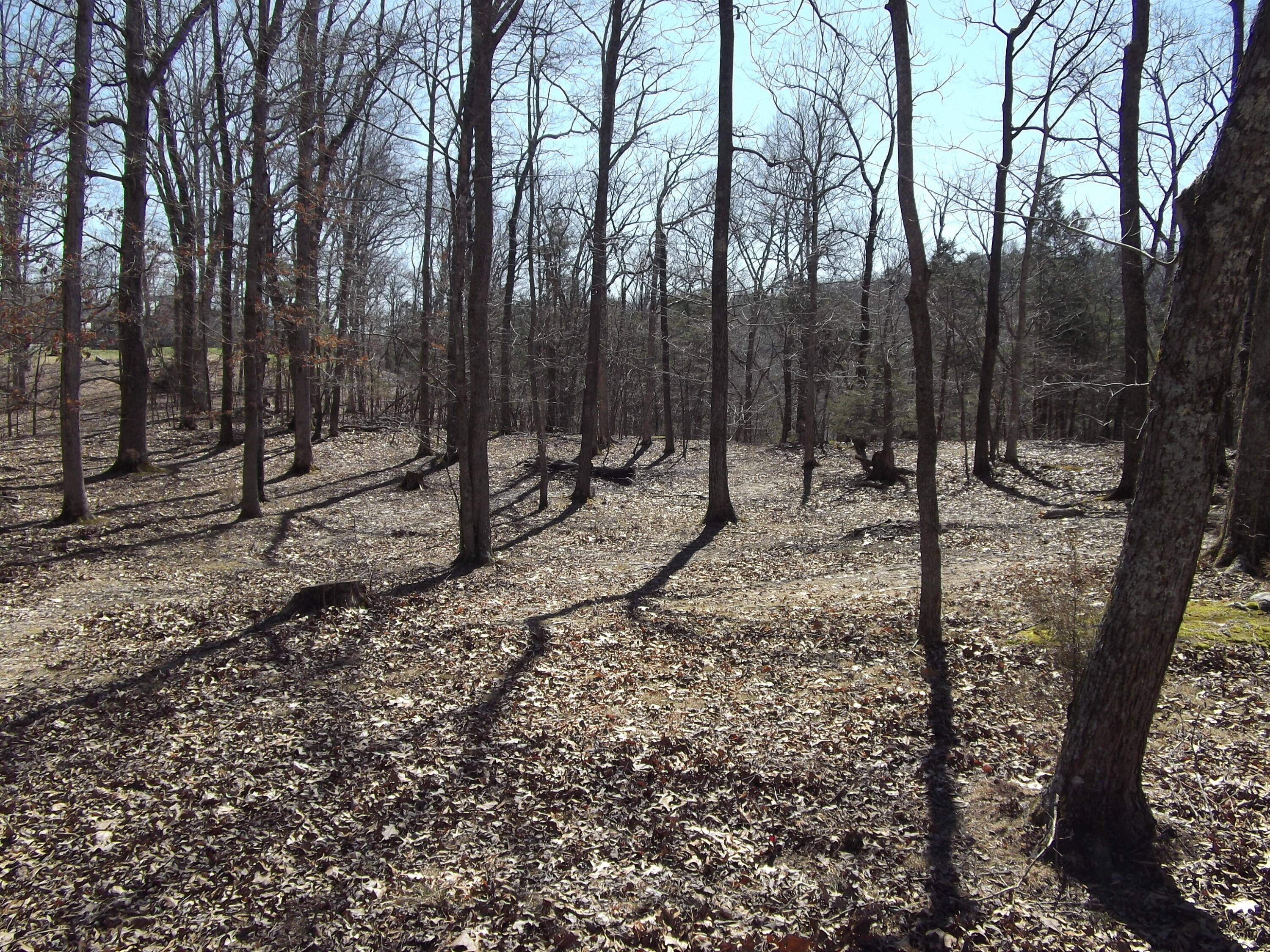 1943 Greenbriar Road Monticello, KY 42633 - Photo 19 of 24 DSCF0432