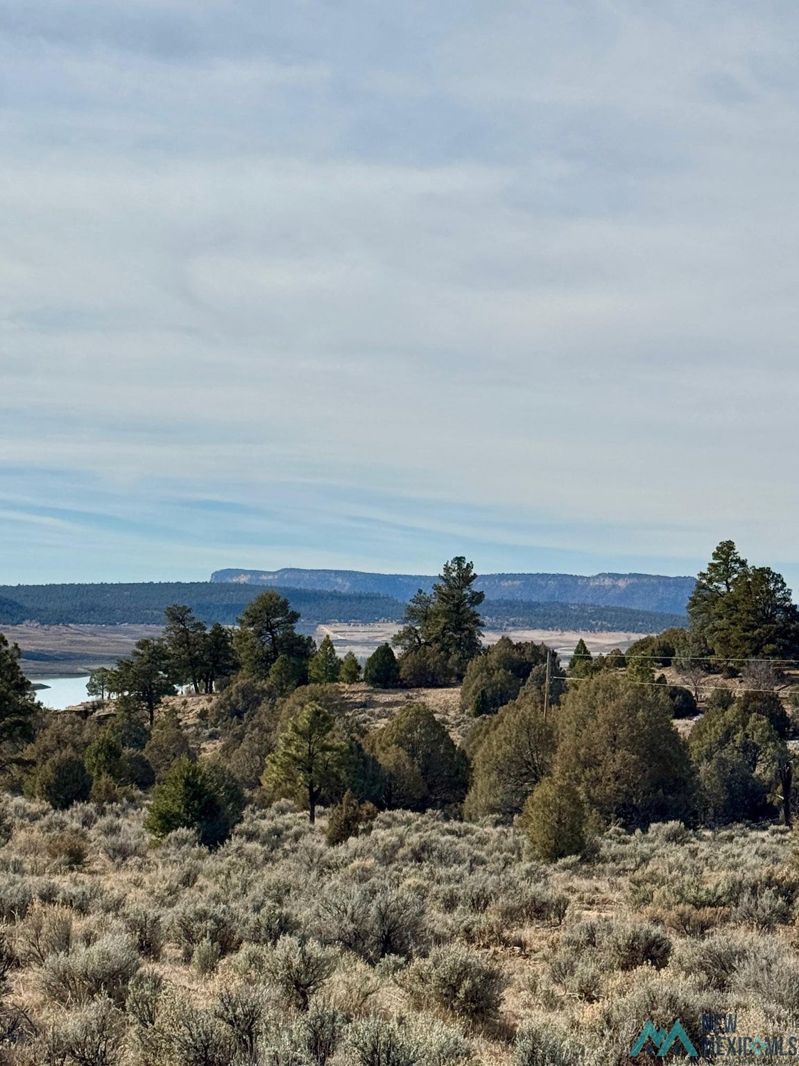 Canyon Road Los Ojos, NM 87551 - Photo 4 of 7 Gallery Image 4