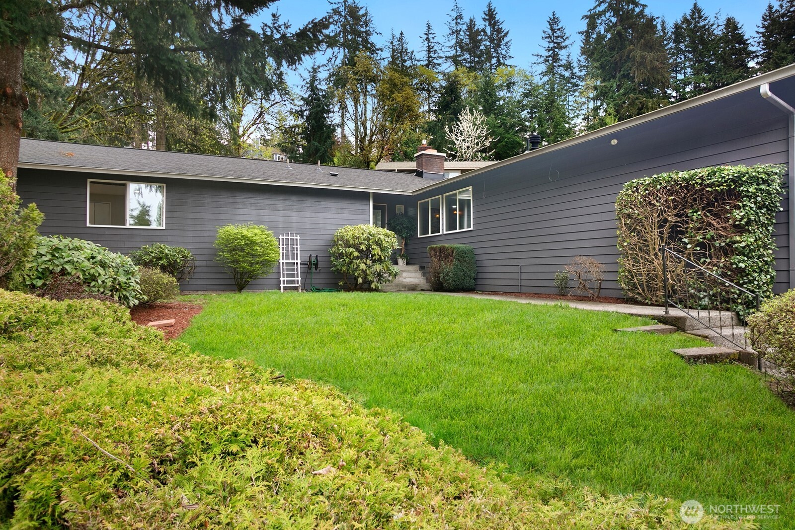 12311 Southeast 96th Place Renton, WA 98056 - Photo 20 of 20 a view of backyard with large tree and plants