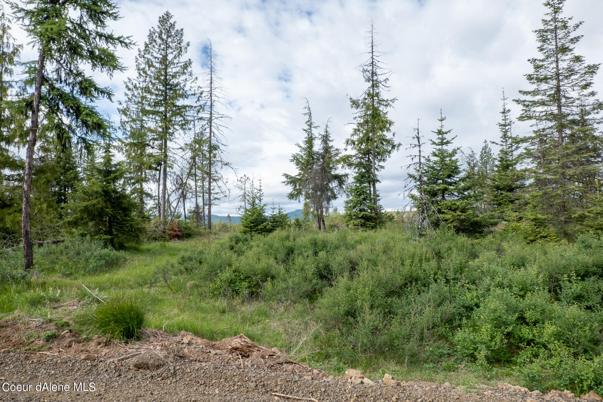Lot 3 Sportsman Rd Street St. Maries, ID 83861 - Photo 1 of 1 P1007215