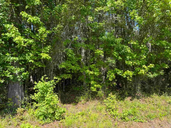 $299,900 | 4633 Grainger Circle, Green Sea, SC 29545