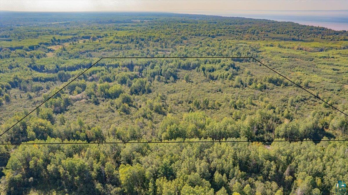 Xxxx South Middle River Road South Range, WI 54874 - Photo 3 of 6 Aerial View