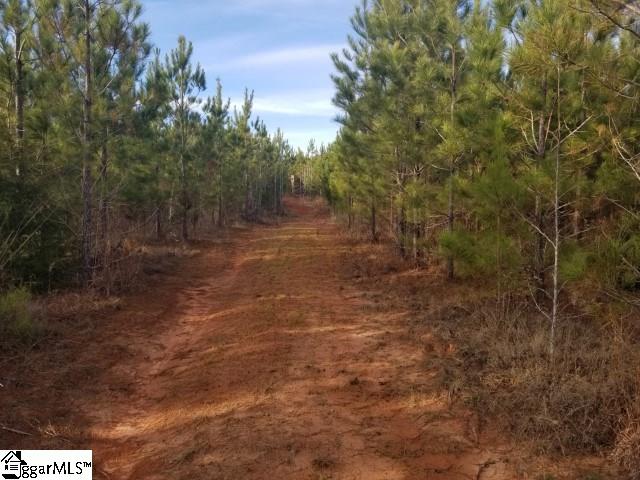 Riverfork Road Waterloo, SC 29384 - Photo 14 of 17