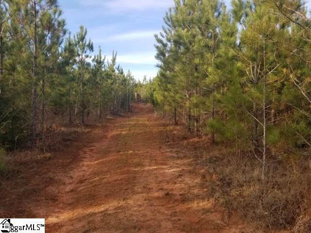 Riverfork Road Waterloo, SC 29384 - Photo 15 of 17