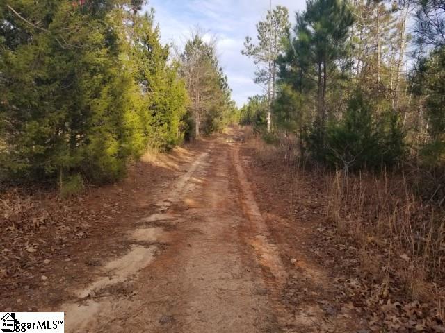 Riverfork Road Waterloo, SC 29384 - Photo 16 of 17
