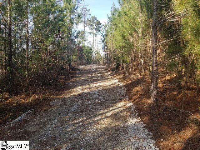 Riverfork Road Waterloo, SC 29384 - Photo 3 of 17