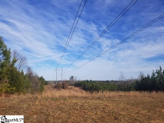 Riverfork Road Waterloo, SC 29384 - Photo 4 of 17