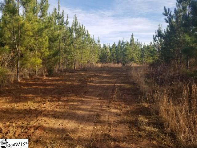 Riverfork Road Waterloo, SC 29384 - Photo 5 of 17