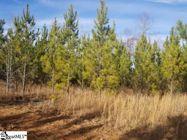 Riverfork Road Waterloo, SC 29384 - Photo 6 of 17