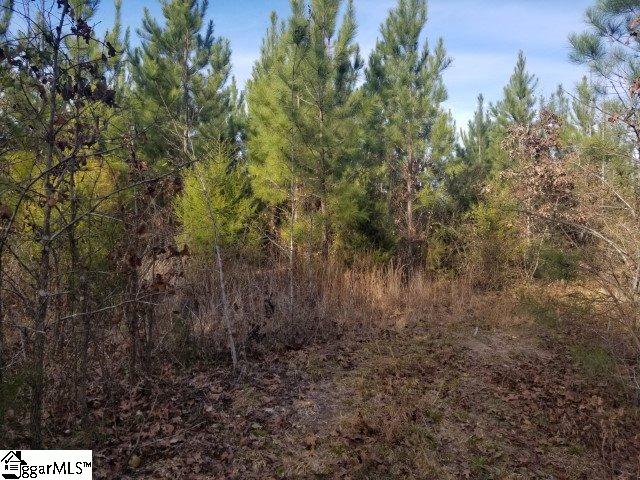 Riverfork Road Waterloo, SC 29384 - Photo 7 of 17