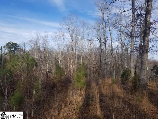 Riverfork Road Waterloo, SC 29384 - Photo 9 of 17